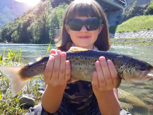 Fishing in the Arizona White Mountains