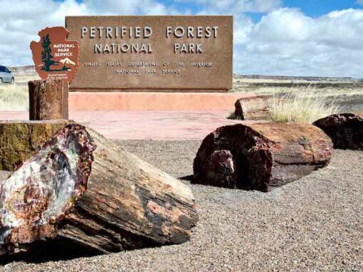 Petrified Forest National Park