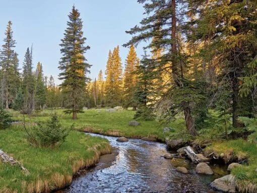 Hannagan Meadow and Alpine