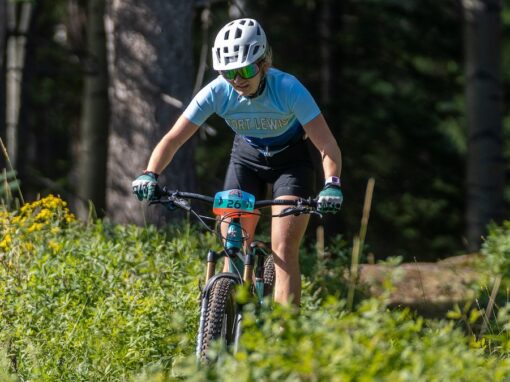 Mountain Biking in the Arizona White Mountains