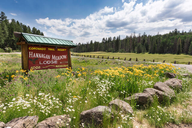 Hannagan Meadow Loop
