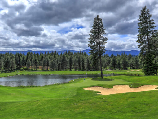 Golf Courses in the Arizona White Mountains