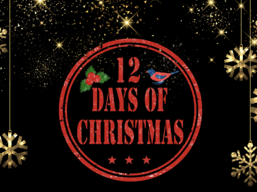 12 Days Of Christmas In Snowflake Arizona