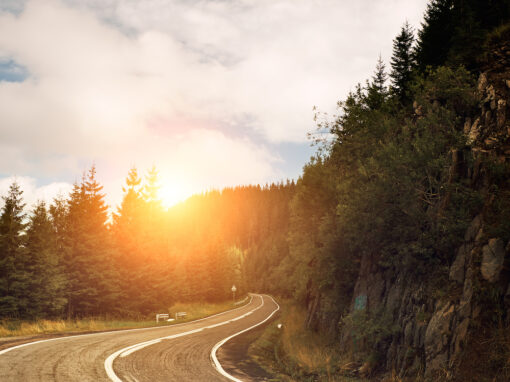 Scenic Drives and Day Trips in the Arizona White Mountains
