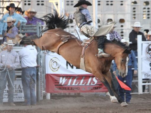 Taylor Arizona Independence Day and Night Rodeo