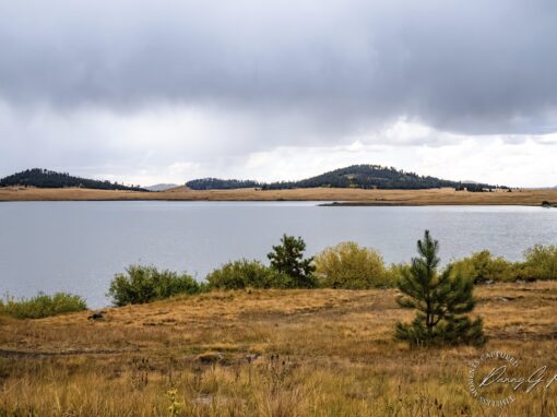 Big Lake In The Arizona White Mountains