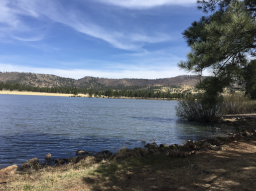 Arizona White Mountain Lakes