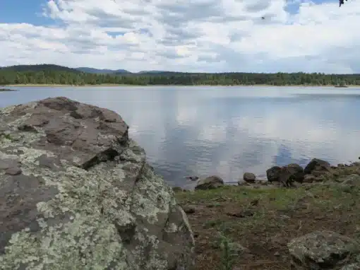 Hawley Lake in the Arizona White Mountains