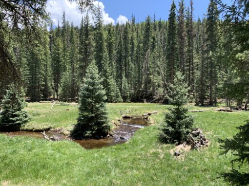 History of Arizona’s White Mountain