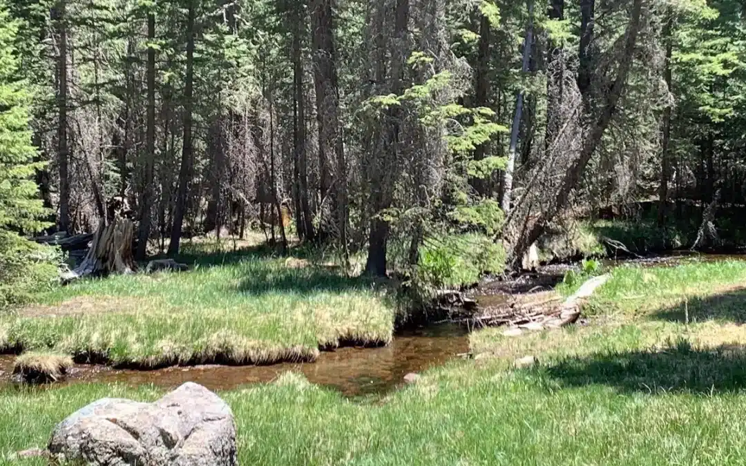 Campgrounds Near Alpine