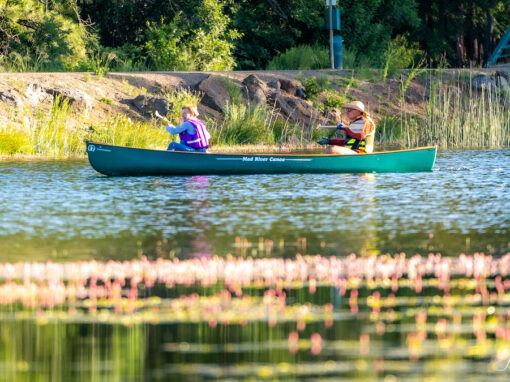 Woodland Lake Park in Pinetop Arizona
