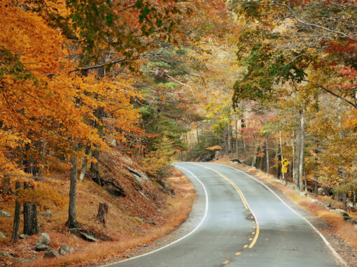 Best 10 Autumn Adventures in the Arizona White Mountains