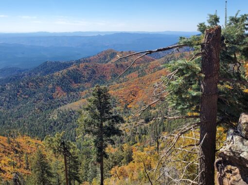 Blue Vista Overlook in the Arizona White Mountains