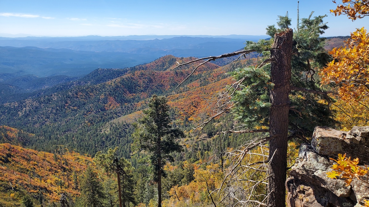 Blue Vista Overlook in the Arizona White Mountains
