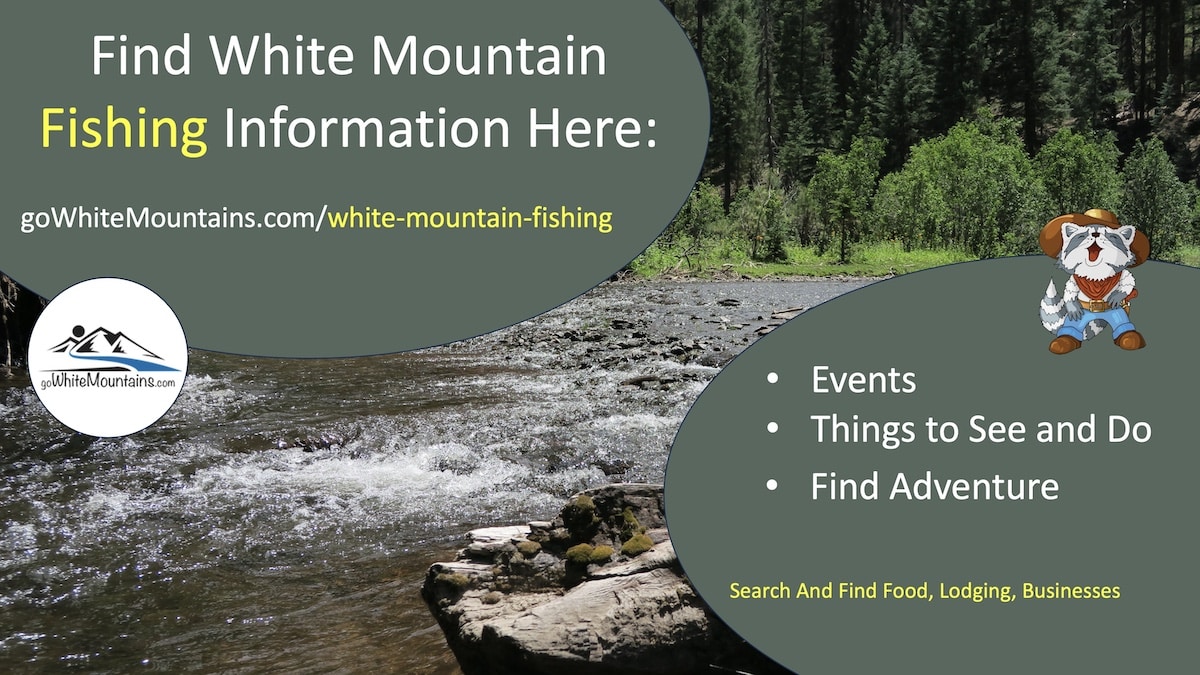White Mountain Fishing - Events