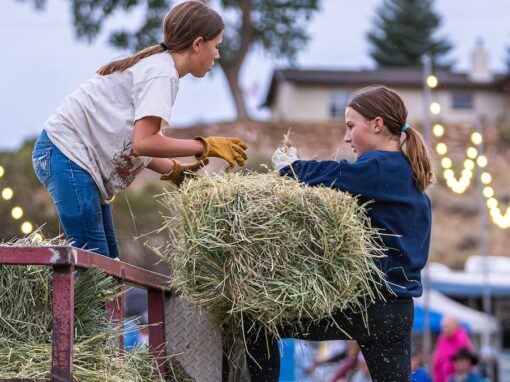 Raising Children On A Mountain Homestead