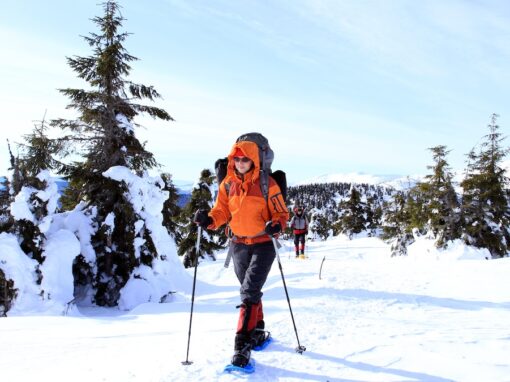 Snowshoeing in Arizona’s White Mountains