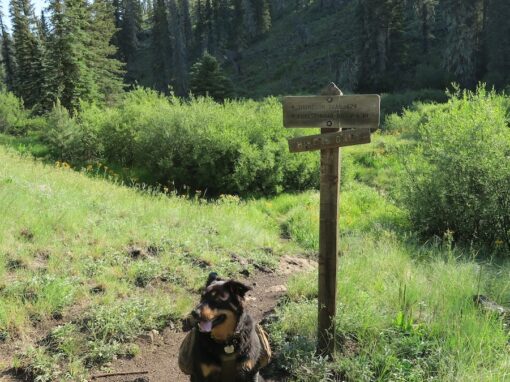 Thompson Trail 629