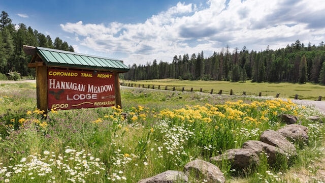 Hannagan Meadow Campground