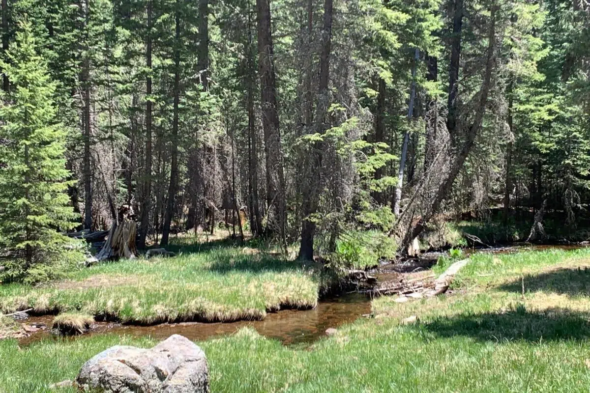 5 Best Campgrounds Near Alpine Arizona