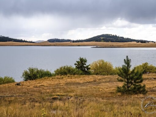 Discover 5 Amazing Big Lake Campgrounds in Arizona’s White Mountains