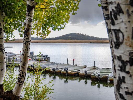 #1 Ultimate Family Camping Weekend – Fishing at Big Lake in the White Mountains AZ