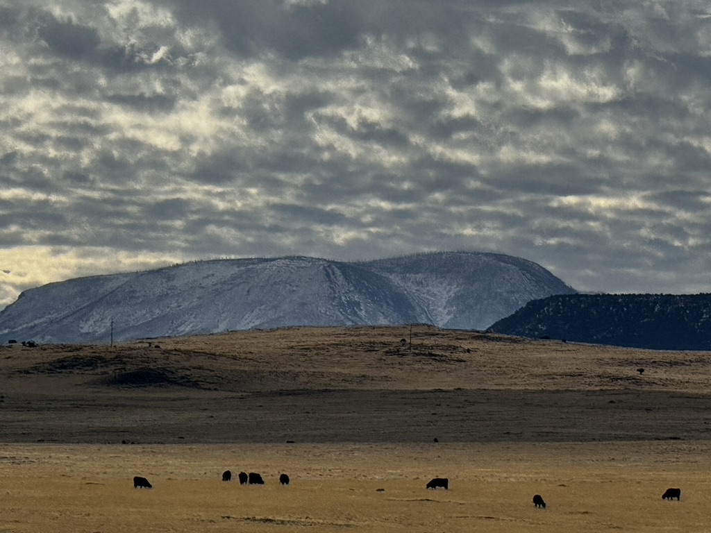 Escudilla Wilderness