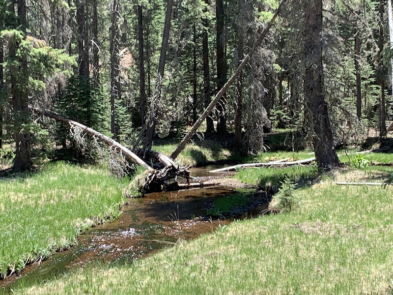 Mount Baldy Wilderness