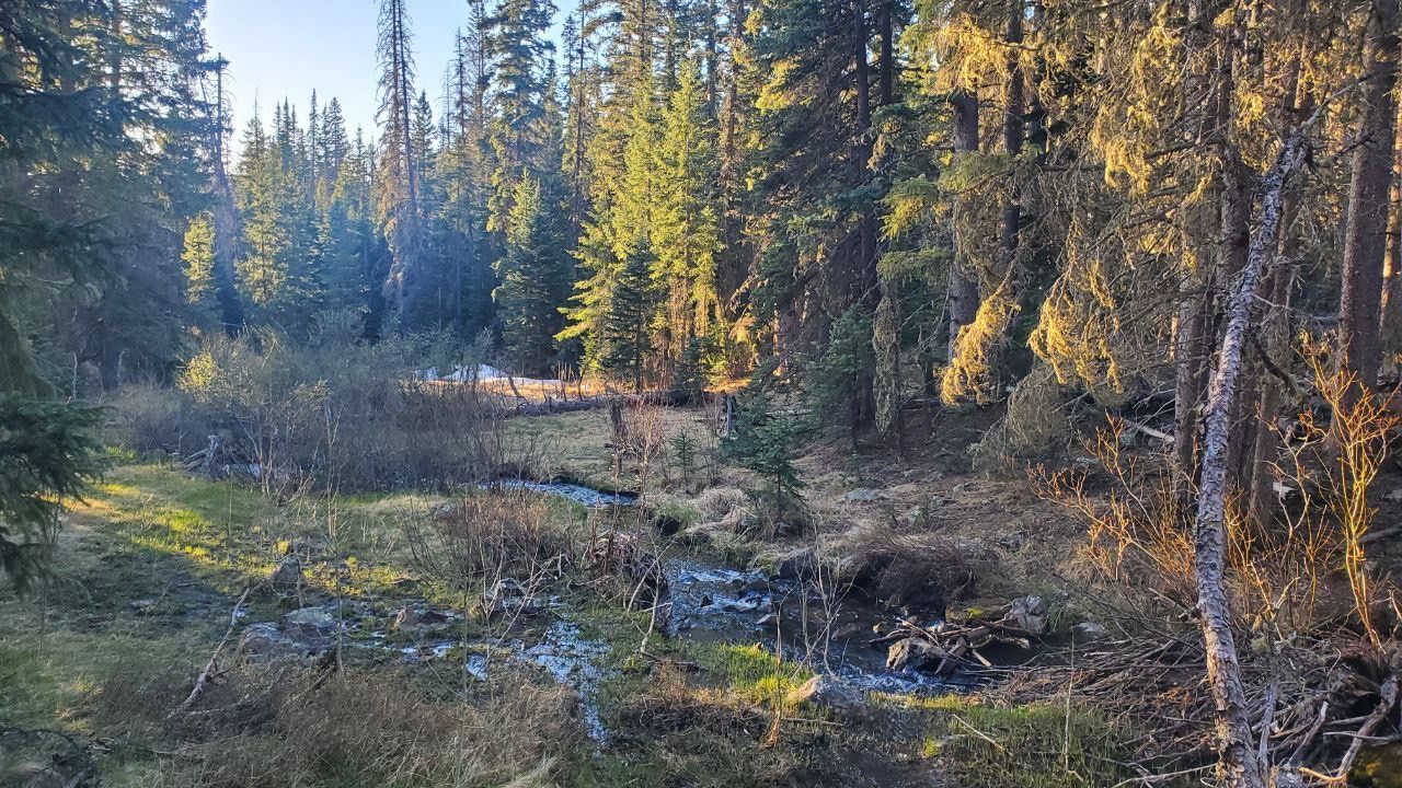 East Baldy Trail