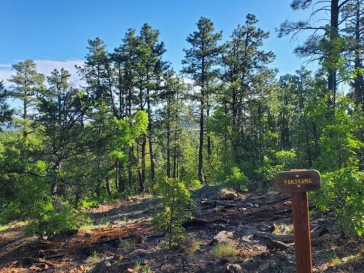 Arizona White Mountains Breathtaking Panorama Trail