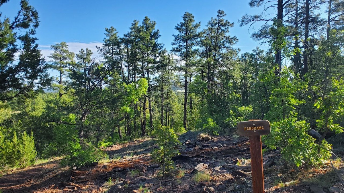 Arizona White Mountains Breathtaking Panorama Trail