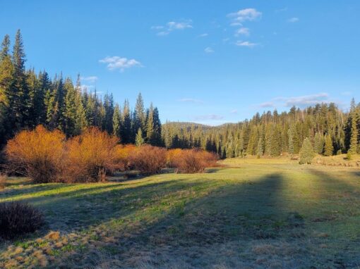 Exploring The Beautiful West Baldy Trail