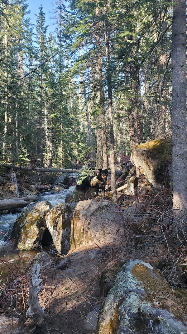 Government Springs Trail