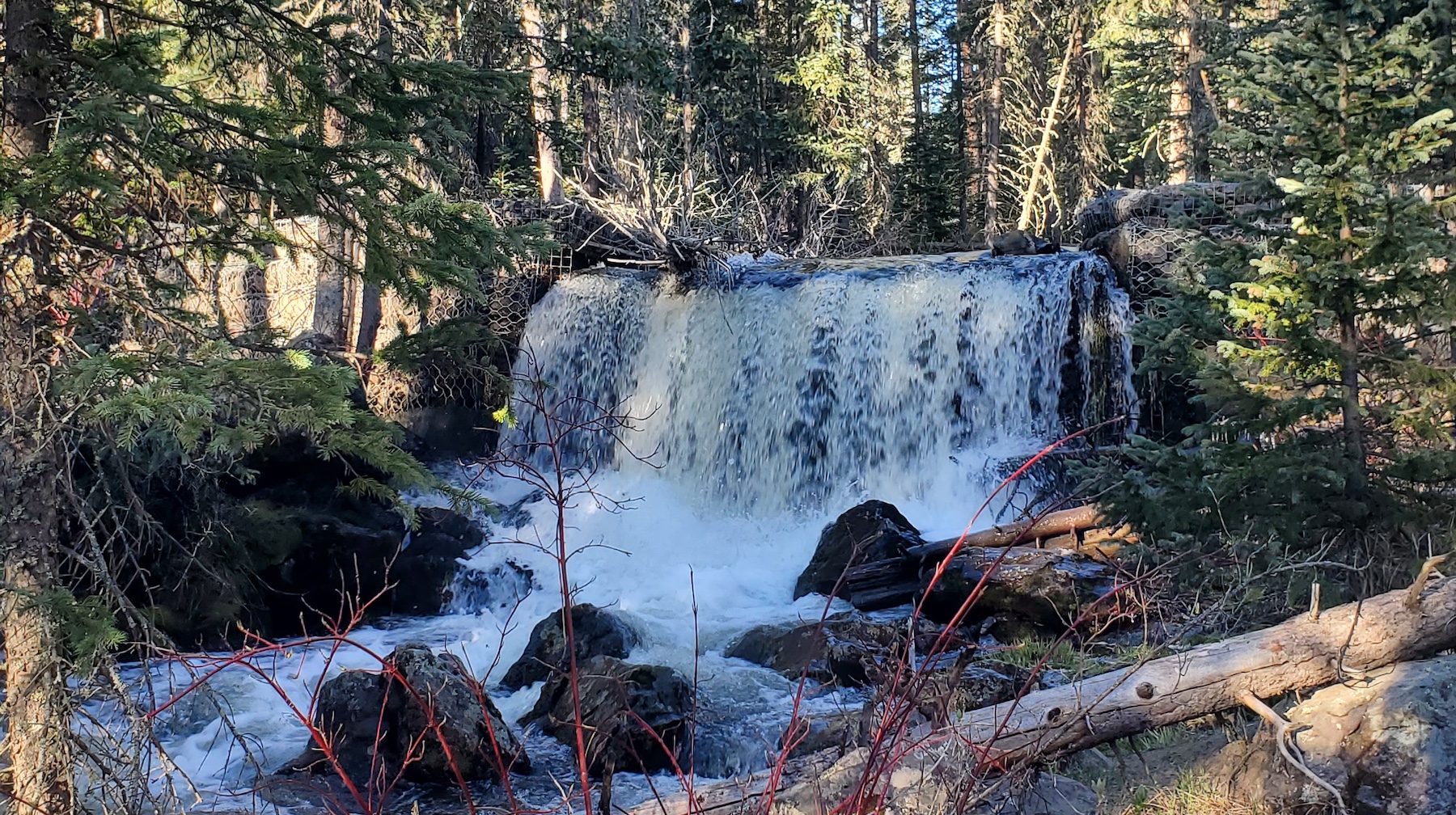 Government Springs Trail Waterfall