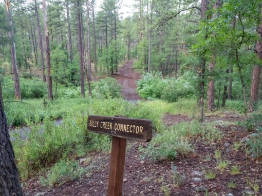 Hiking The Beautiful Billy Creek Connector #107A
