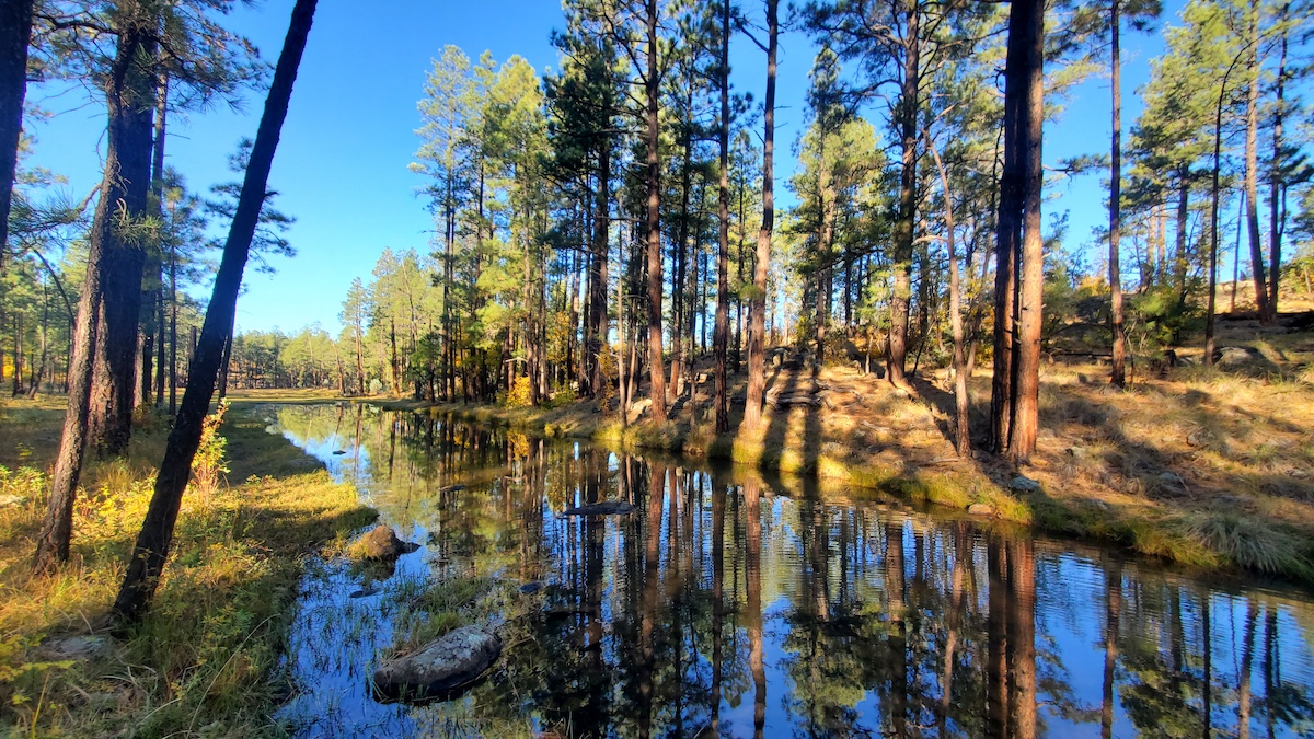 Springs Trail #633