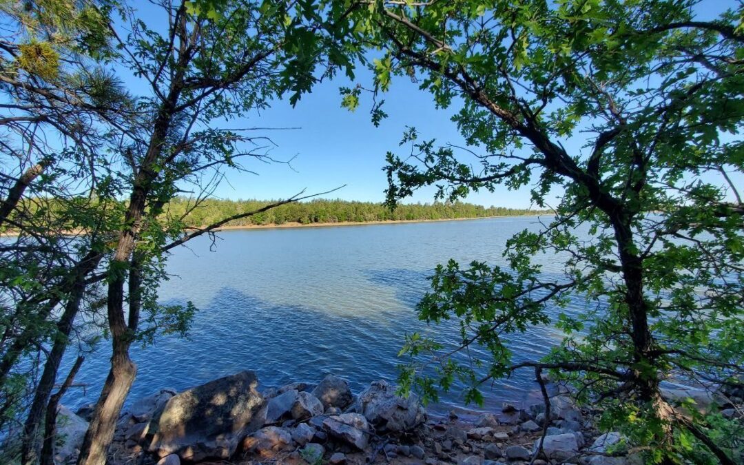 Beautiful Show Low Lake Trail: Hiking, Fishing, and Boating in the Arizona White Mountains