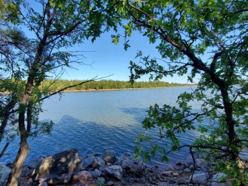 Beautiful Show Low Lake Trail: Hiking, Fishing, and Boating in the Arizona White Mountains