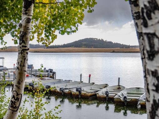 Celebrate National Fishing and Boating Week in the Arizona White Mountains 