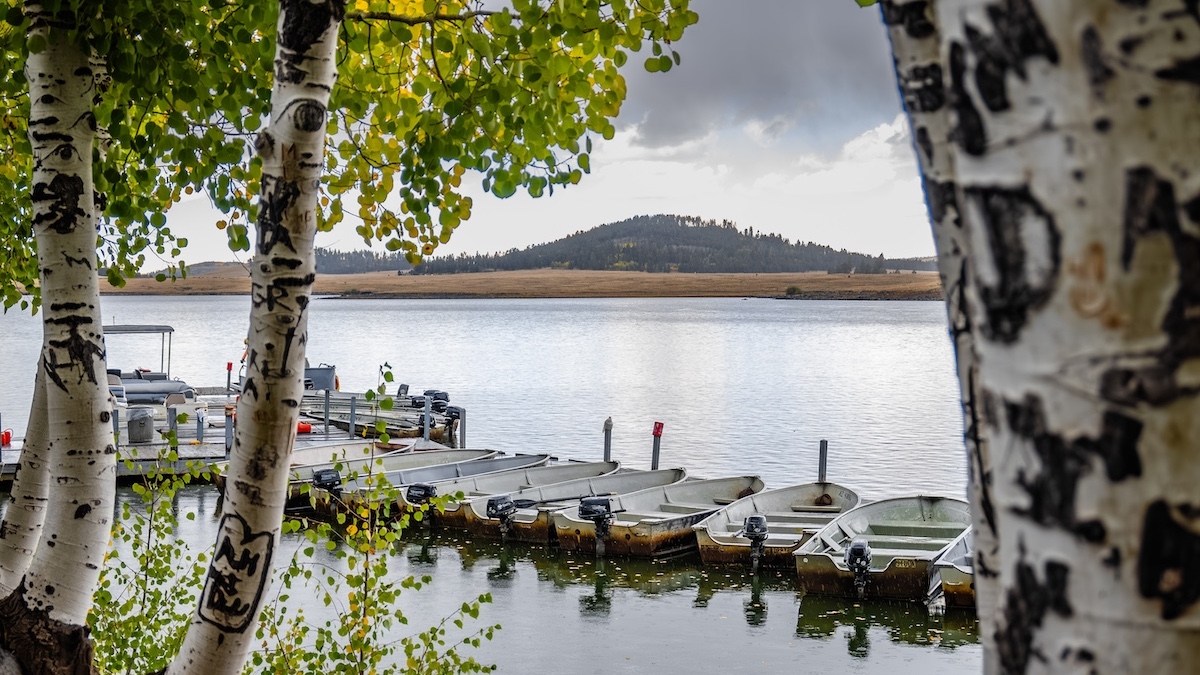 Fishing and Boating Week in the Arizona White Mountains 