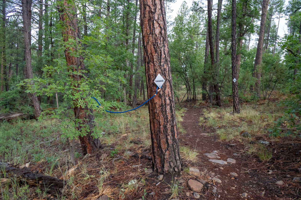 Billy Creek Connector #107A