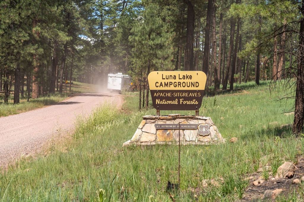 Alpine Arizona-National Forest Alpine Arizona