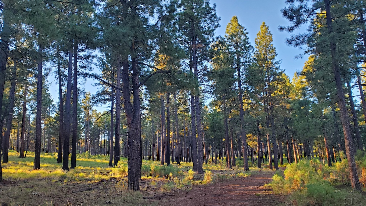 Los Burros Trail Los Burros Trail