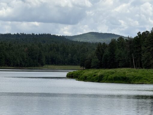 Discover The Amazing Horseshoe Cienega Lake