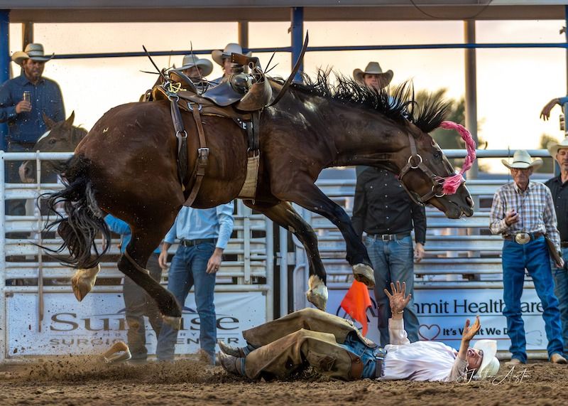 White Rodeo White Mountain Rodeo Events - Events | Things To Do | Arizona White ...