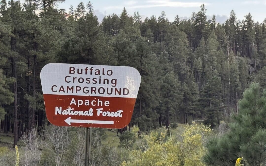 Buffalo Crossing Campground