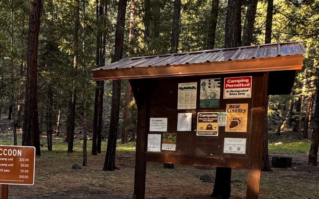 Raccoon Campground