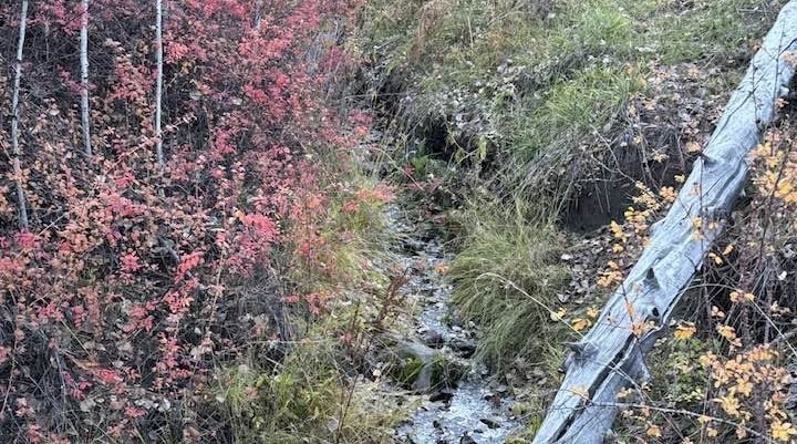 Butler Canyon Creek - Arizona