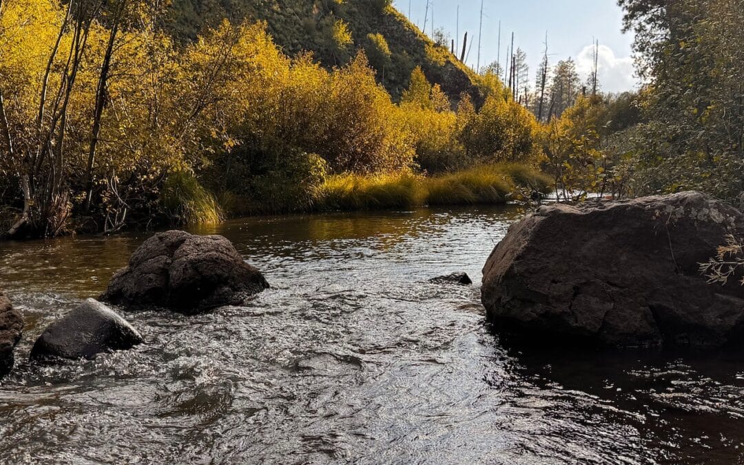 East Fork of the Black River