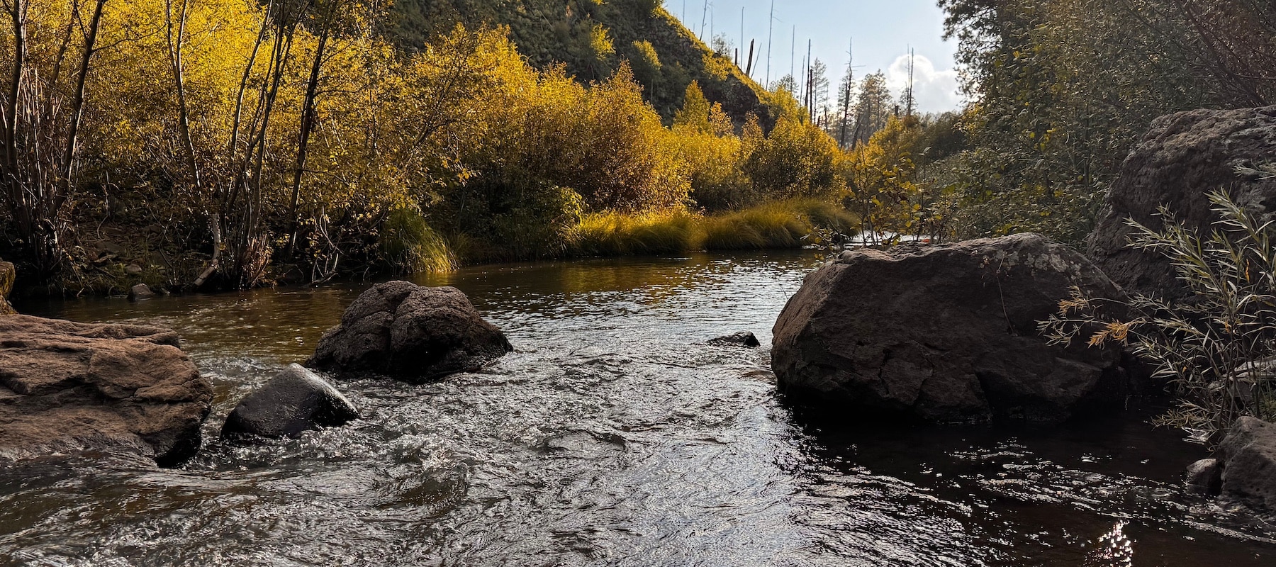 East Fork of the Black River Arizona